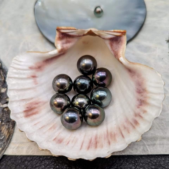 Meet your Posher, Vashti - Picture 11 of 13